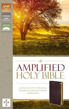 portada Amplified Holy Bible, Bonded Leather, Burgundy, Indexed: Captures the Full Meaning Behind the Original Greek and Hebrew (en Inglés)