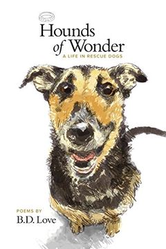 portada Hounds of Wonder: A Life in Rescue Dogs