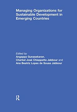 portada Managing Organizations for Sustainable Development in Emerging Countries (in English)