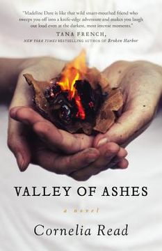 portada valley of ashes