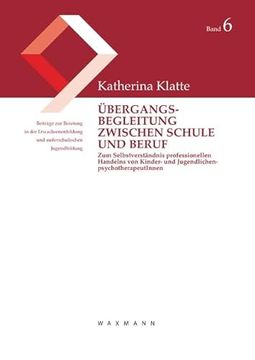 portada Bergangsbegleitung Zwischen Schule und Beruf (en Alemán)