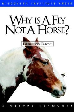 portada why is a fly not a horse? (en Inglés)