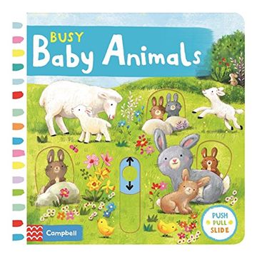 portada Busy Baby Animals (Busy Books)