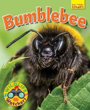 portada Wildlife Watchers: Bumblebee 2017 (Ruby Tuesday Readers)