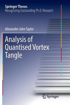 portada Analysis of Quantised Vortex Tangle (en Inglés)