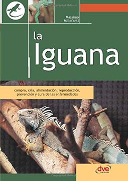 portada La Iguana