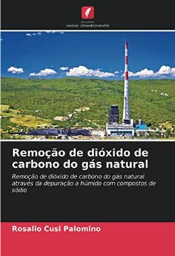 portada Remoção de Dióxido de Carbono do gás Natural: Remoção de Dióxido de Carbono do gás Natural Através da Depuração a Húmido com Compostos de Sódio (en Portugués)