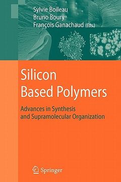 portada silicon based polymers: advances in synthesis and supramolecular organization (en Inglés)