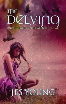 portada The Delving: Volume 2 (en Inglés)