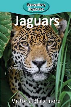 portada Jaguars 