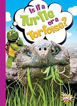 portada Is It a Turtle or a Tortoise? (en Inglés)