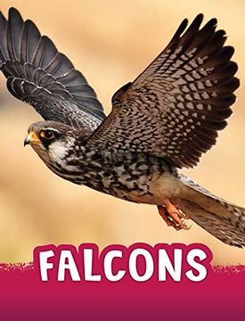 portada Falcons 