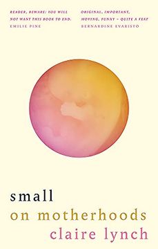portada Small: On Motherhoods (en Inglés)