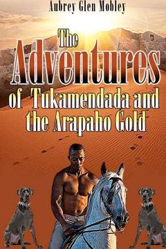 portada the adventures of tukamendada and the arapaho gold (in English)