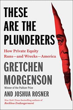 portada These are the Plunderers: How Private Equity Runs―And Wrecks―America 