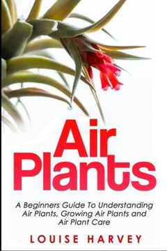 portada Air Plants: A Beginners Guide To Understanding Air Plants, Growing Air Plants And Air Plant Care (en Inglés)