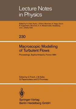 portada macroscopic modelling of turbulent flows: proceedings of a workshop held at inria, sophia-antipolis, france, december 10-14, 1984