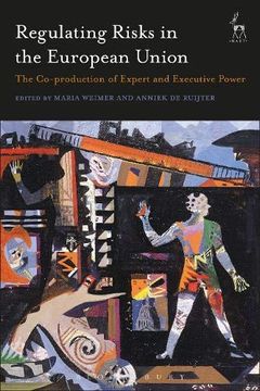 portada Regulating Risks in the European Union: The Co-Production of Expert and Executive Power (en Inglés)