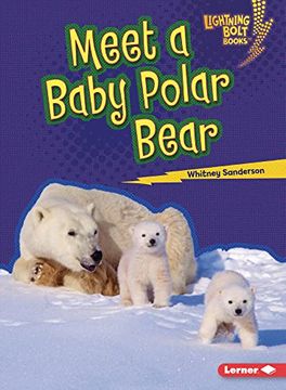 portada Meet a Baby Polar Bear (en Inglés)