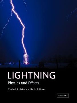 portada Lightning: Physics and Effects (en Inglés)