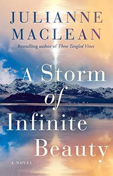 portada A Storm of Infinite Beauty: A Novel (in English)