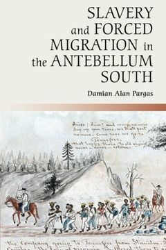 portada Slavery and Forced Migration in the Antebellum South (Cambridge Studies on the American South) (in English)