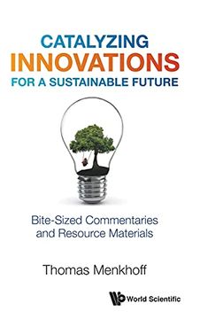 portada Catalyzing Innovations for a Sustainable Future: Bite-Sized Commentaries and Resource Materials (en Inglés)