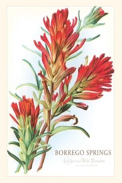 portada Vintage Journal Borrego Springs, Wildflowers (in English)