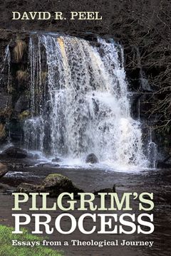 portada Pilgrim's Process