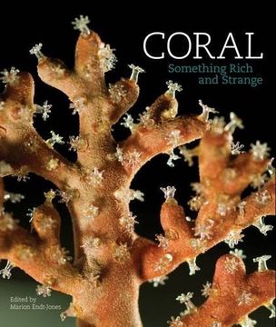 portada Coral: Something Rich and Strange
