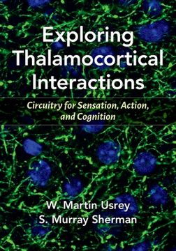 portada Exploring Thalamocortical Interactions: Circuitry for Sensation, Action, and Cognition (en Inglés)