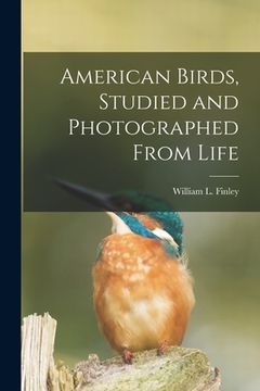 portada American Birds, Studied and Photographed From Life (en Inglés)