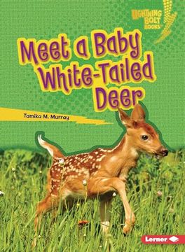 portada Meet a Baby White-Tailed Deer (in English)