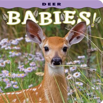 portada Deer Babies! 