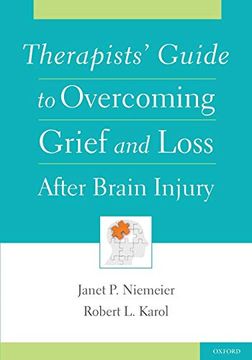 portada Therapists' Guide to Overcoming Grief and Loss After Brain Injury (en Inglés)