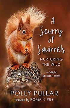 portada A Scurry of Squirrels: Nurturing the Wild (en Inglés)