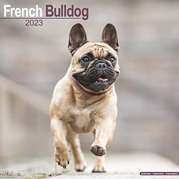 portada French Bulldog Calendar - dog Breed Calendars - 2022 - 2023 Wall Calendars - 16 Month by Avonside 