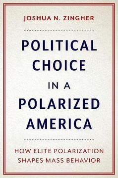 portada Political Choice in a Polarized America: How Elite Polarization Shapes Mass Behavior (en Inglés)