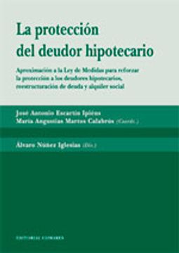 portada Protección del deudor hipotecario (Monografias / Derecho Civil) (in Spanish)