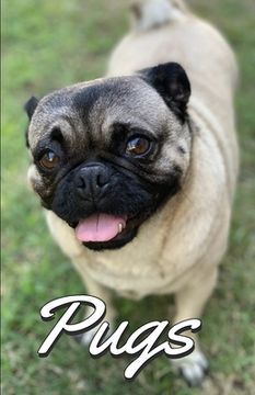 portada Pugs Photo Book for Writing and Note Taking: Writing Pad with Pug Pictures, Dog Lover Gifts (in English)
