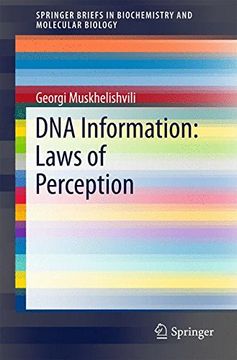 portada Dna Information: Laws of Perception (Springerbriefs in Biochemistry and Molecular Biology) 