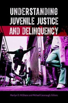 portada Understanding Juvenile Justice and Delinquency (en Inglés)