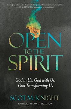 portada Open to the Spirit: God in us, god With us, god Transforming us (en Inglés)