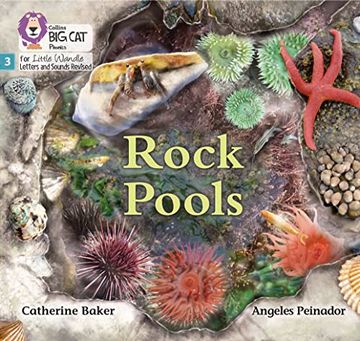 portada Big Cat Phonics for Little Wandle Letters and Sounds Revised - Rock Pools: Phase 3