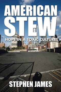portada American Stew: Hope in a Toxic Culture (in English)