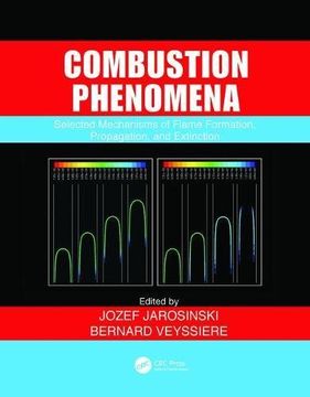 portada Combustion Phenomena: Selected Mechanisms of Flame Formation, Propagation and Extinction (in English)