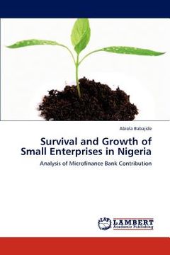portada survival and growth of small enterprises in nigeria (en Inglés)