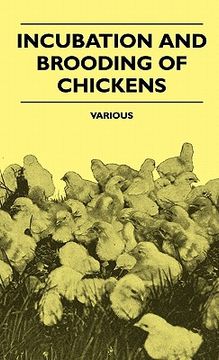 portada incubation and brooding of chickens (en Inglés)