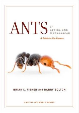 portada Ants of Africa and Madagascar: A Guide to the Genera (en Inglés)