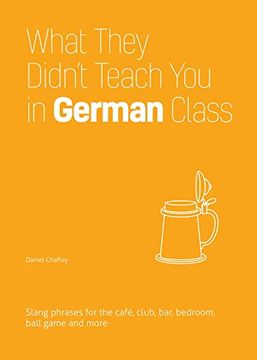 portada What They Didn'T Teach you in German Class: Slang Phrases for the Cafe, Club, Bar, Bedroom, Ball Game and More (in English)